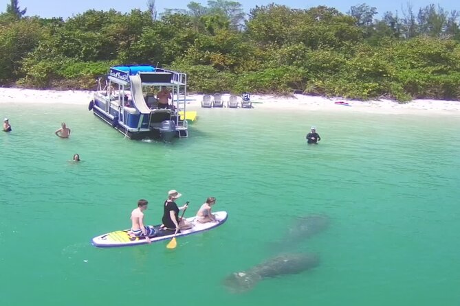 Private Siesta Funship Adventure/Dolphin Cruise Sandbar Stops - Key Points to Know Before You Go