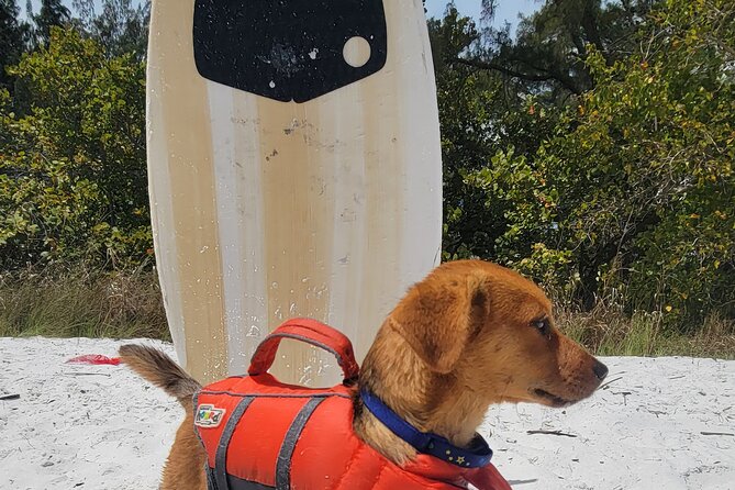 Private Siesta Funship Adventure/Dolphin Cruise Sandbar Stops - Starting at 946 Siesta Drive