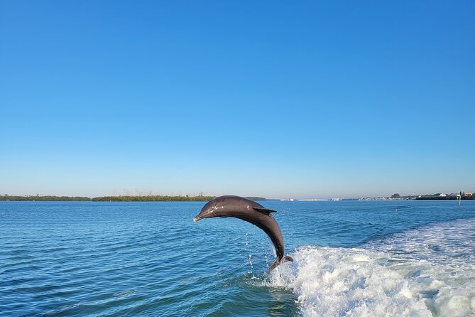 Private Siesta Funship Adventure/Dolphin Cruise Sandbar Stops - BYOB, Coolers, and What That Means
