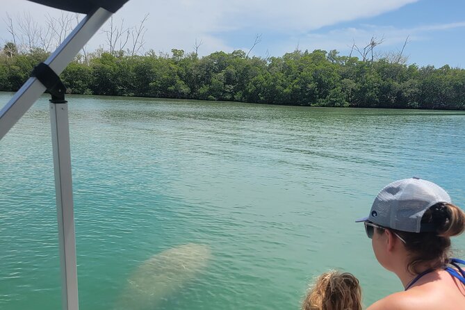 Private Siesta Funship Adventure/Dolphin Cruise Sandbar Stops - Who Will Enjoy This Cruise Most