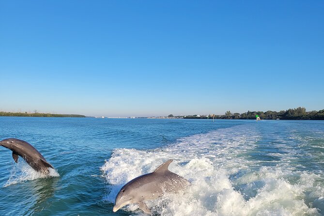 Private Siesta Funship Adventure/Dolphin Cruise Sandbar Stops - Sandbar and Beach Time