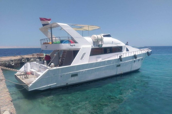 Private Snorkeling Boat Trip To Dolphin House From Hurghada - Key points at a glance