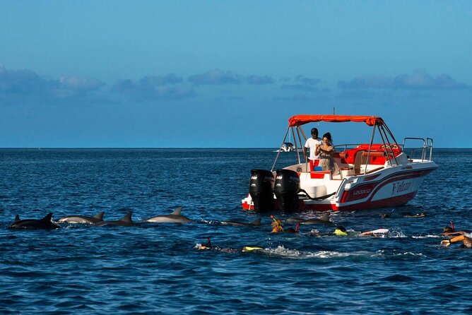 Private Speed Boat Experience To Dolphin House in Hurhgada - Key points before you book