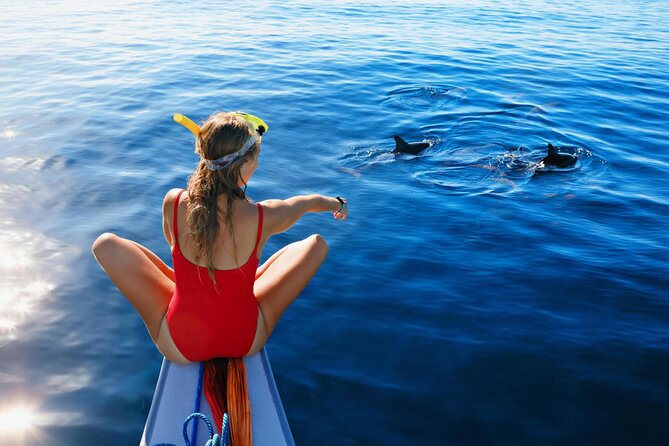 Private Speed Boat Experience To Dolphin House in Hurhgada - Who will enjoy this Hurghada outing most