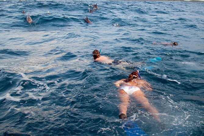 Private Speed Boat Experience To Dolphin House in Hurhgada - Practical advice for making the most of the four hours
