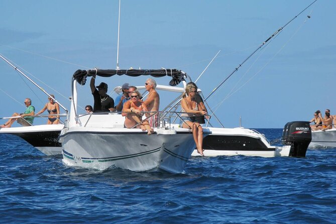Private Speed Boat Experience To Dolphin House in Hurhgada - Reaching Dolphin House and its wild dolphins