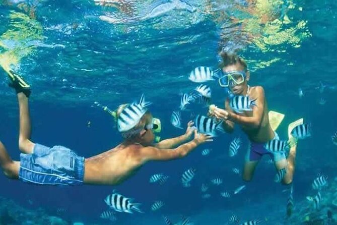 Private Speed Boat Snorkeling with Dolphins Trip - Hurghada - The private boat is the main advantage