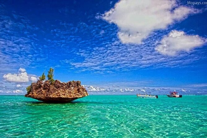 Private Speed Boat Tour and Dolphin Encounter at Ile aux Benitier - Lunch and beach time on Ile aux Benitiers