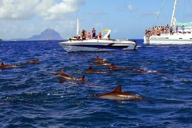 Private Speed Boat Tour and Dolphin Encounter at Ile aux Benitier - What the private boat adds