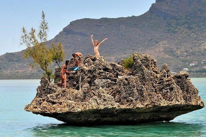 Private Speed Boat Tour and Dolphin Encounter at Ile aux Benitier - Weather, cancellation, and planning details