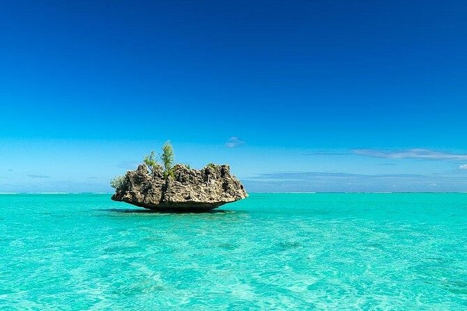 Private Speed Boat Tour and Dolphin Encounter at Ile aux Benitier - Who will enjoy this day most