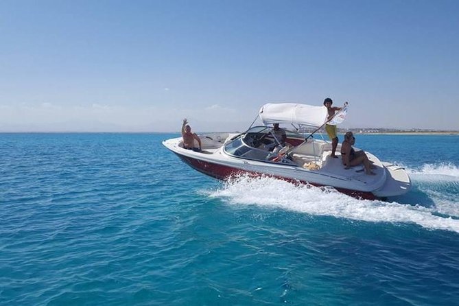private speedboat 3 hours to dolphin house - Hurghada - Swimming with dolphins in the open Red Sea