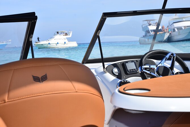 Private Speedboat Dolphins and Snorkelling Cruise in Hurghada - Key points at a glance
