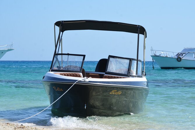 Private Speedboat Dolphins and Snorkelling Cruise in Hurghada - A private speedboat instead of a crowded day boat