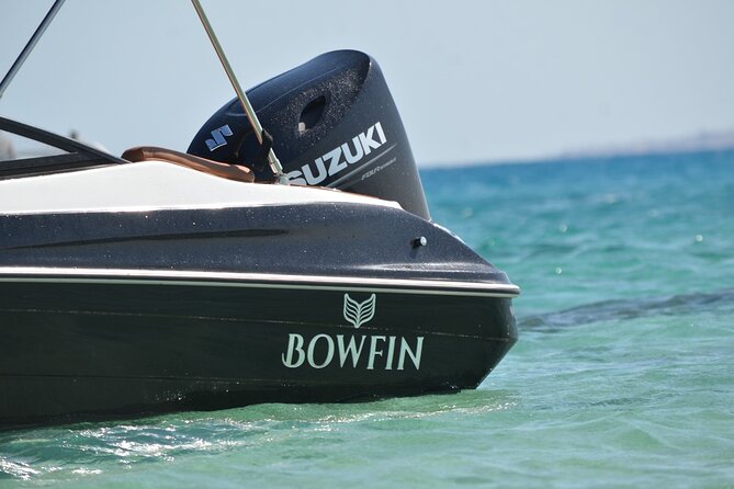 Private Speedboat Dolphins and Snorkelling Cruise in Hurghada - Abu Minqar Island and the shipwreck finish