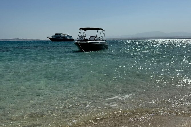 Private Speedboat Dolphins and Snorkelling Cruise in Hurghada - Who should book this Hurghada cruise