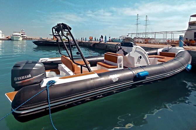Private Speedboat swimming and Dolphin Watching in Hurghada - The price and what you receive