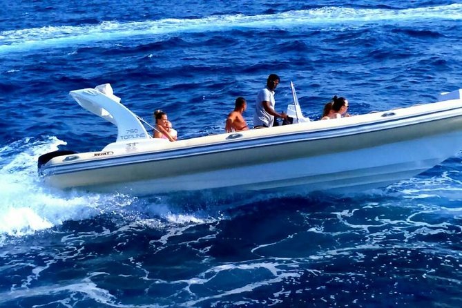 Private Speedboat Trip To Dolphin House In Hurghada - Dolphin House means wild dolphins, not a scheduled show