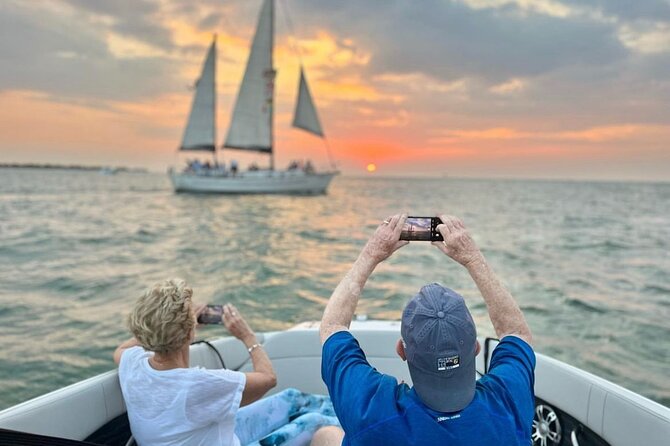 Private Sunset and Dolphin Tour in St. Petersburg, Florida - Dolphins, wildlife, and realistic expectations