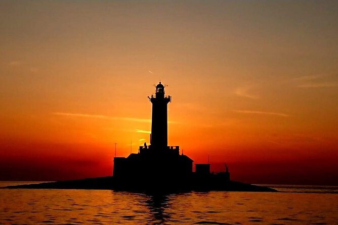 Private Sunset Dolphin Excursion with Dinner and Animation - Dinner choices that suit a mixed group