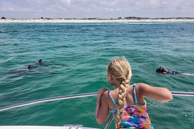 Private Swim with Dolphins And Snorkeling Tour - Key points to know before you book