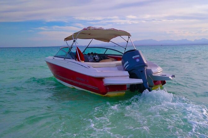 PRIVATE TOUR ! 4-Hours Swiming with dolphins, snorkeling, island by speed boat - Snorkeling at Al Fanadir Reef
