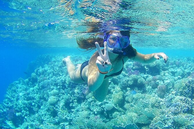 PRIVATE TOUR ! 4-Hours Swiming with dolphins, snorkeling, island by speed boat - What is included, and what you still need to arrange