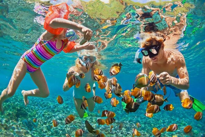 PRIVATE TOUR ! 4-Hours Swiming with dolphins, snorkeling, island by speed boat - Is $160.80 per person fair?