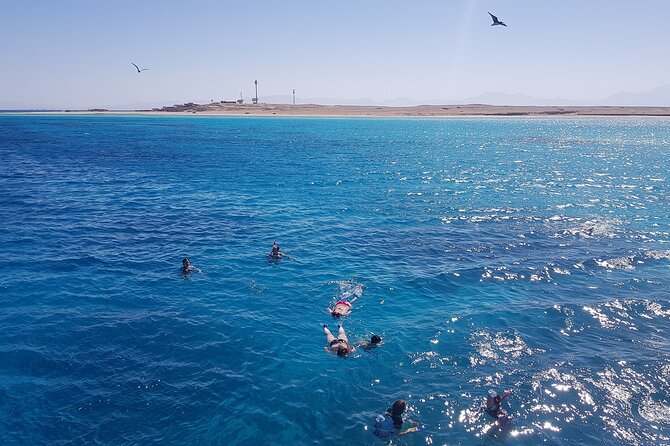 PRIVATE TOUR ! 4-Hours Swiming with dolphins, snorkeling, island by speed boat - Who will enjoy this Hurghada boat trip?