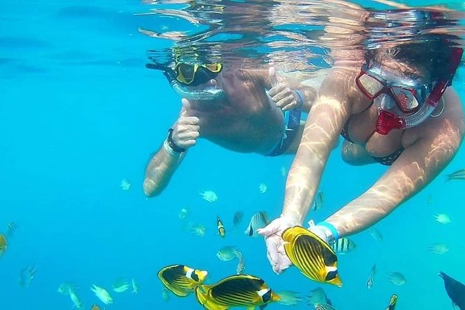 PRIVATE TOUR ! 4-Hours Swiming with dolphins, snorkeling, island by speed boat - What the four-hour schedule means
