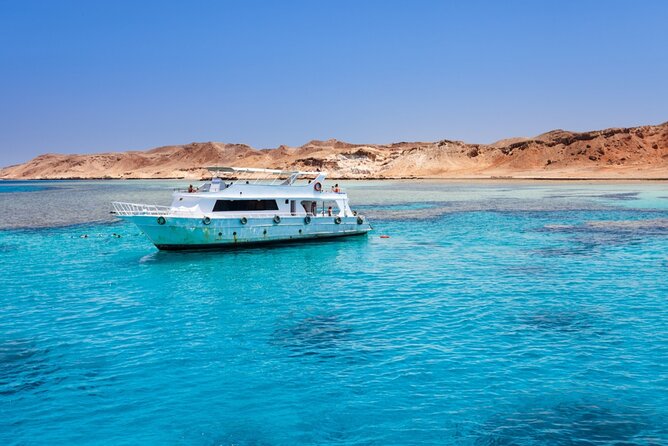 Private Tour to Dolphins house Sea hero of Egypt snorkeling - The private format and what it really means
