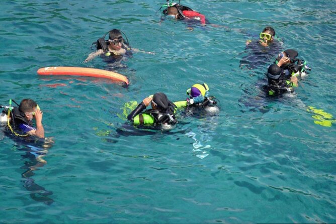 Private Tour to Dolphins house Sea hero of Egypt snorkeling - Who should book this Red Sea outing?