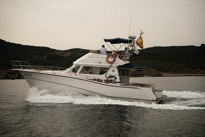 Private Tour with Dolphin Watching in Algeciras Bay - Key points to know before you book