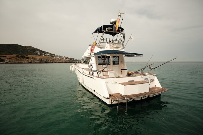 Private Tour with Dolphin Watching in Algeciras Bay - Why Algeciras Bay is a good place for dolphin watching