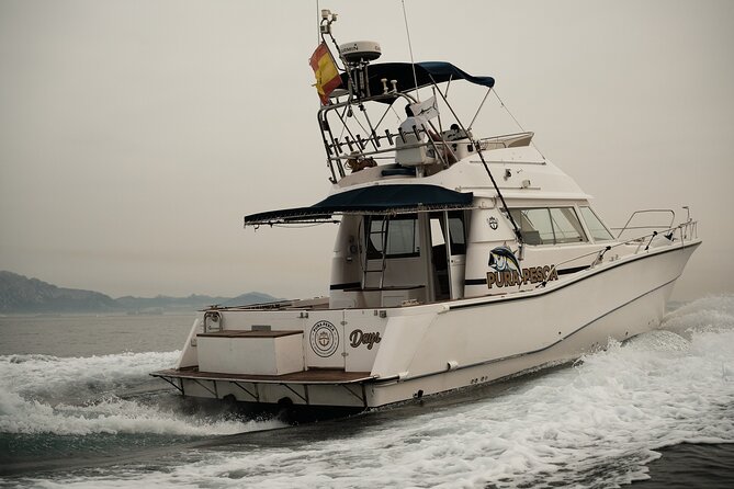 Private Tour with Dolphin Watching in Algeciras Bay - A private trip with room for your own group