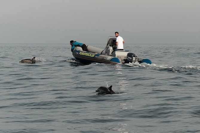 Private Tour with Dolphin Watching in Algeciras Bay - The respectful wildlife rules are part of the value