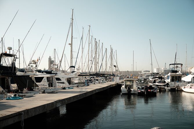 Private Tour with Dolphin Watching in Algeciras Bay - Weather, timing, and the risk of a changed plan