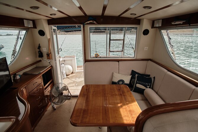 Private Tour with Dolphin Watching in Algeciras Bay - What the two-hour boat trip is like