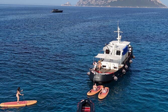 Private Tour with Historic Tugboat: Tavolara, Molara, Dolphins - The final cove depends on the sea