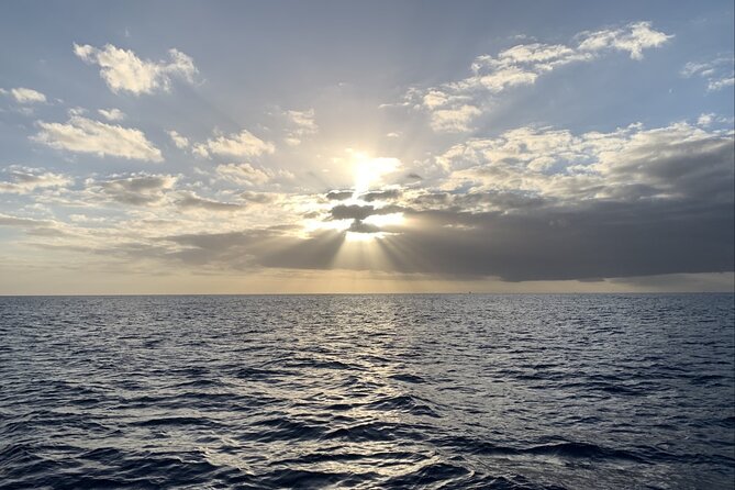 Private Whale Watching and Dolphin Excursion - Whale watching when sightings are not guaranteed