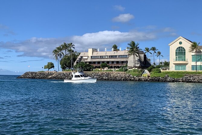 Private Whale Watching and Dolphin Excursion - Should you book this private Oahu boat trip?