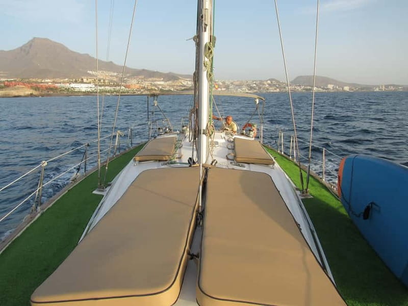 Private Whales & Dolphins Excursion: for you exclusively! - Tapas, drinks, and music on deck
