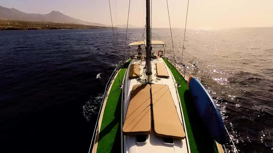 Private Whales & Dolphins Excursion: for you exclusively! - Is $530 good value for up to 12 people?
