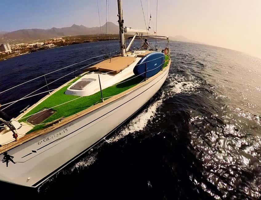 Private Whales & Dolphins Excursion: for you exclusively! - The important weakness: cancellations and wild conditions