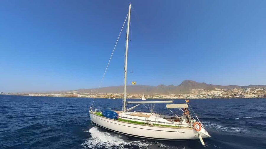 Private Whales & Dolphins Excursion: for you exclusively! - Who will enjoy this private yacht most?