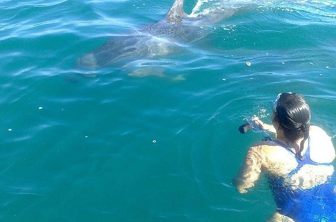 Private Wild Dolphin Encounter in Puerto Vallarta - Entering the water on the dolphins’ terms