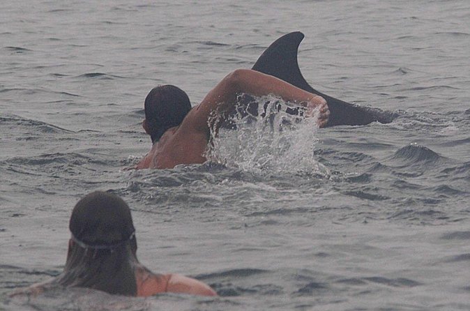 Private Wild Dolphin Encounter in Puerto Vallarta - What the $675.33 group price really buys
