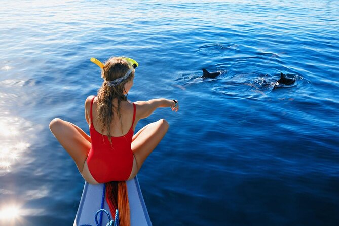 Private Yacht Cruise to Dolphin House with Lunch : Hurghada - Getting from your hotel to the Hurghada marina