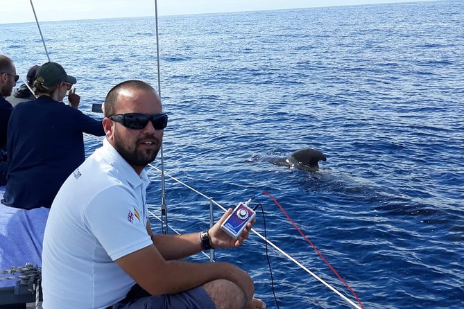 Private Yacht Tour With Whale and Dolphin Watching 33 Foot Boat - Families, couples, and groups who will like it