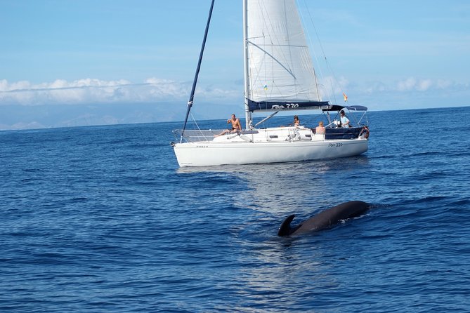 Private Yacht Tour With Whale and Dolphin Watching 33 Foot Boat - Six hours along the Costa Adeje coast